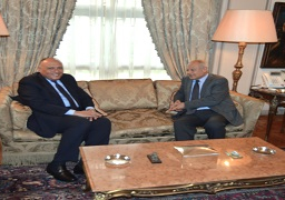 شكري وأبو الغيط يبحثان دور الجامعة في تسوية الازمات العربية