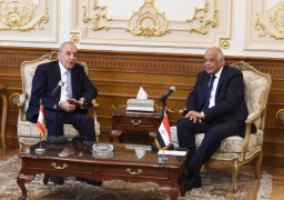 عبد العال يلتقى رئيس مجلس النواب اللبنانى
