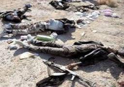 مصرع 43 من “داعش” بنيران القوات العراقية بالأنبار
