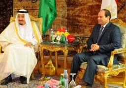أهم توصيات منتدى فرص الأعمال «السعودي المصري»