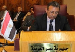 مندوب مصر امام الجامعة العربية: ضرورة تعزيز الجهود الدولية لانهاء معاناة سوريا