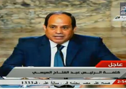 بالفيديو… نص كلمة الرئيس عبد الفتاح السيسى خلال المؤتمر الصحفى مع العاهل السعودي