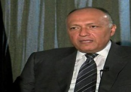 وزير الخارجية: مصر لن تدخر جهدا فى سبيل تقريب الرؤى بين الأشقاء السوريين