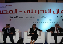 وزيرة التعاون الدولي:تعاون وثيق مع الصناديق العربية فى دعم الصناعات الصغيرة والمتوسطة