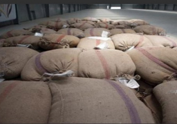 التموين: إستلام مليون و350 ألف طن قمح محلي من المزارعين خلال 21 يوما