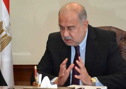 “الوزارية الإقتصادية” : زيادة مخصصات الدعم على بطاقات التموين بـ 2.4 مليار جنيه