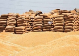 وزارة الزراعة : توريد 4 ملايين و158 ألف طن قمح حتى الآن