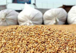 وزير الزراعة : نقف فى خندق واحد مع الفلاح ..واستلام 1.2 مليون طن قمح