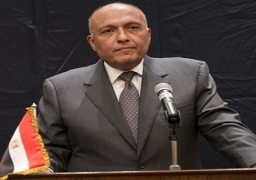 الخارجية: نرفض أية محاولات للتشكيك في انتماء مصر الإفريقى ودفاعها عن قضايا القارة