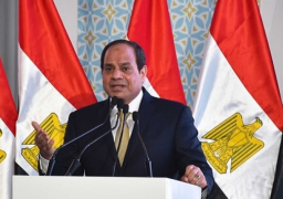 الرئيس السيسي: جميع الفرضيات مطروحة حول أسباب سقوط الطائرة المصرية