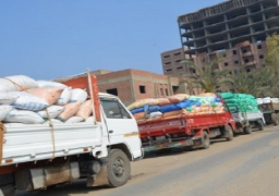 الزراعة: استلام 4 ملايين و260 ألف طن قمح محلي حتى الآن