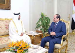 الرئيس السيسي يستقبل سفير الإمارات بالقاهرة بمناسبة ختام فترة عمله