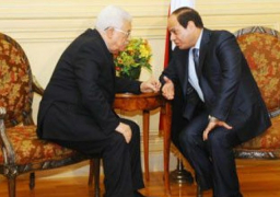 السيسي يؤكد دعم مصر للمبادرات والجهود الدولية لتسوية القضية الفلسطينية