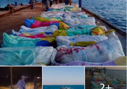 القوات البحرية توصل جهودها فى حماية سواحل البلاد وتنحج فى ضبط كمية كبيرة من نبات البانجو المخدر جنوب الطور …
