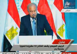 إسماعيل : تحقيق التنمية الشاملة هو الهدف الأسمى لمصر