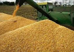 وزير الزراعة : فتح الجمعيات التعاونية العامة وفروعها لإستلام القمح من الفلاحين