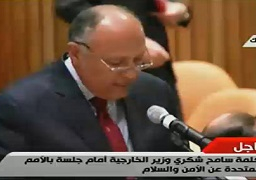 بالفيديو..شكرى : بزوغ تهديدات للأمن والسلم الدوليين يضع الأمم المتحدة في اختبار