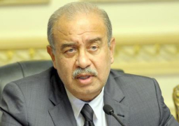 رئيس الوزراء يستقبل رئيس الاتحاد الدولى لكرة القدم