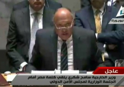 شكرى : مصر تؤكد دوما ان التصدي للارهاب يستلزم توجها شاملا دون انتقالية