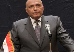 شكري يستقبل نائب رئيس المجلس الرئاسي لحكومة الوفاق الليبية