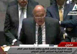 شكري يستضيف إفطارا وزاريا لمناقشة هيكل السلم والأمن في الأمم المتحدة