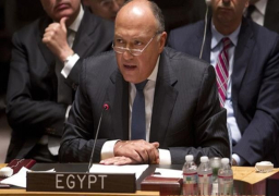شكري: مجلس الأمن يُبدي اهتمامًا كبيرًا بخطاب مصر حول محاربة أيديولوجية الإرهاب
