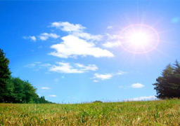 طقس اليوم معتدل على السواحل الشمالية ….. والعظمى بالقاهرة 31 درجة