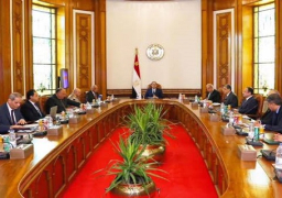 مجلس الأمن القومي يؤكد على أهمية تعزيز العمل العربي المشترك