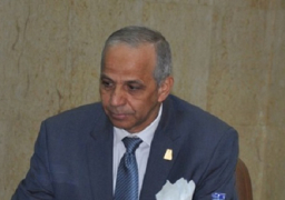 محافظ الوادي الجديد: مشروع الـ1.5 مليون فدان يخدم مصر كلها