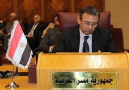 مصر تؤكد قلقها البالغ حيال ازدياد وتيرة العنف في سوريا