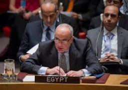 مندوب مصر بالجامعة العربية: الإرهاب يقيد فرص الحلول السياسية للأزمات