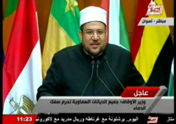 وزير الاوقاف:نسعى لمراجعة الآليات المستخدمة فى تناول الخطاب الدينى