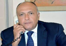 وزير الخارجية يتلقى اتصالات من نظرائه بـ 5 دول للتضامن في حادث الطائرة