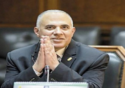 وزير الري يلتقي خبير الموارد المائية بجامعة الدول العربية