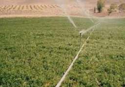 وزير الزراعة يوجه بإنشاء مزارع بحثية بمناطق الـ1.5 مليون فدان