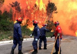إجلاء المئات بسبب حرائق الغابات في كاليفورنيا ونيو‭ ‬مكسيكو