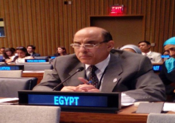 الأمين العام لقومي الإعاقة يستعرض جهود مصر أمام الأمم المتحدة