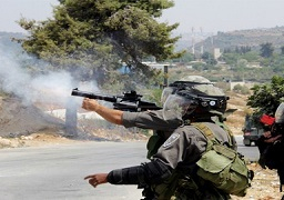 الاحتلال الإسرائيلي يطلق الرصاص على راعي لبناني دون وقوع إصابات