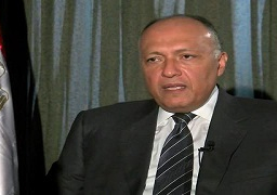 الثلاثاء..شكري يلتقي مستشار الأمن القومي الألماني والمبعوث الرئاسي الأمريكي لمكافحة داعش