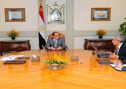 الرئيس يؤكد أهمية مواصلة إجراءات ترشيد الواردات وزيادة الصادرات وتشجيع المنتجات المحلية