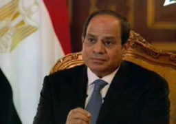 السيسى: أعد المصريين بمزيد من العمل وادعوهم ان يكونوا كتله واحده