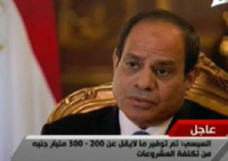 السيسي: الإجهزة الرقابية لها كافة الصلاحيات لمكافحة الفساد