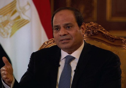 السيسي: الهدف الأساسي بعد ثورة يونيو كان عدم سقوط مؤسسات الدولة