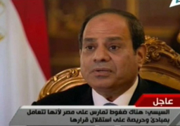 السيسي: هناك ضغوط على مصر لأنها حريصة على استقلال قرارها