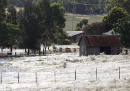 انقطاع التيار الكهربائي عن 26 ألف منزل باستراليا جراء الفيضانات العارمة