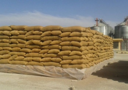 روسيا تورّد مليون طن من القمح إلى سوريا