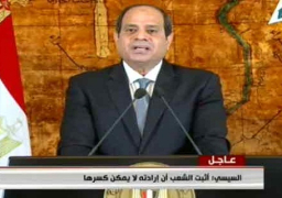بالفيديو .. نص كلمة السيسي بمناسبة الذكرى الثالثة لثورة الثلاثين من يونيو