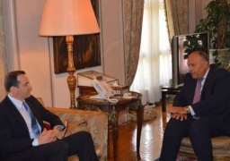 سامح شكري يستقبل مبعوث أوباما للتحالف الدولى ضد داعش