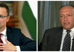 شكرى يؤكد على عمق علاقات التعاون بين مصر والمجر بشتى المجالات