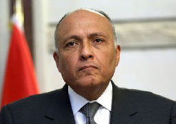 شكري : مصر تتفاعل دائما مع كافة الجهود لإقامة دولة فلسطينية عاصمتها القدس الشرقية